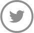 twitter btn
